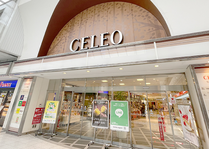 ヴェルディーク相模原桜並木　セレオ相模原